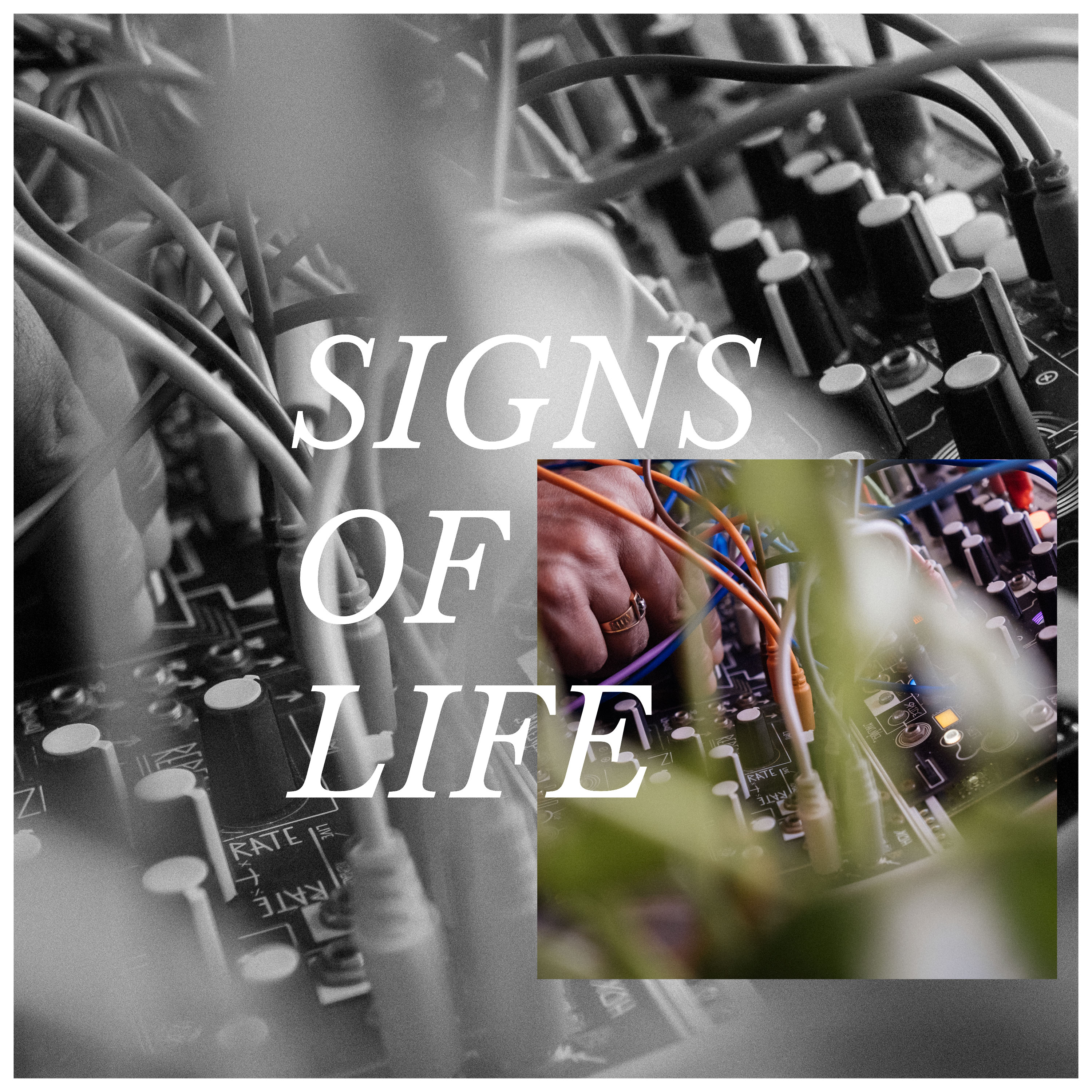 Signs Of Life EP (2022)